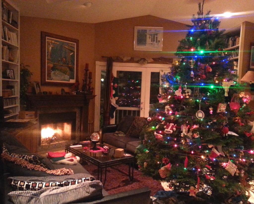 Our cozy family room with our Christmas tree and fireplace in Austin, Texas.