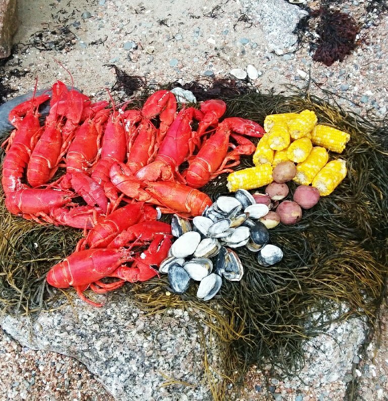 lobster bake with clams and corn on the cob, Deer Isle, Maine