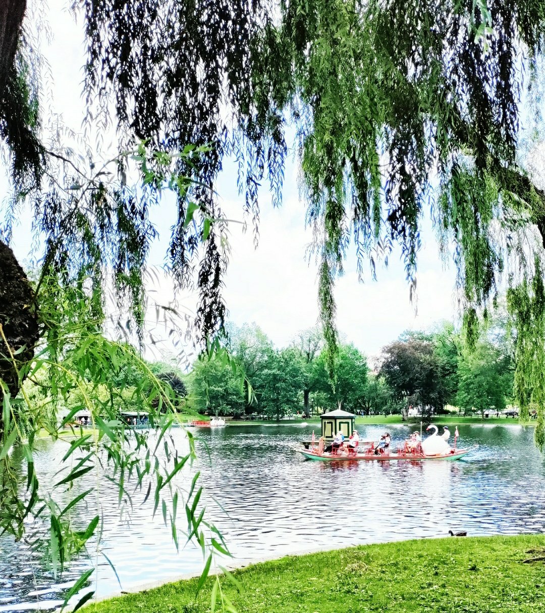 Visitors often ride the Swan Boats at Boston Common