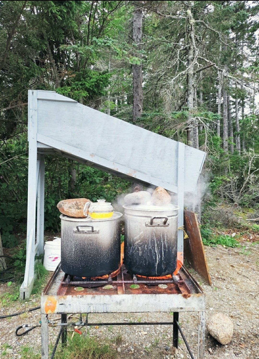 Boiling the lobsters at Burnt Cove Boil, Stonington, Maine