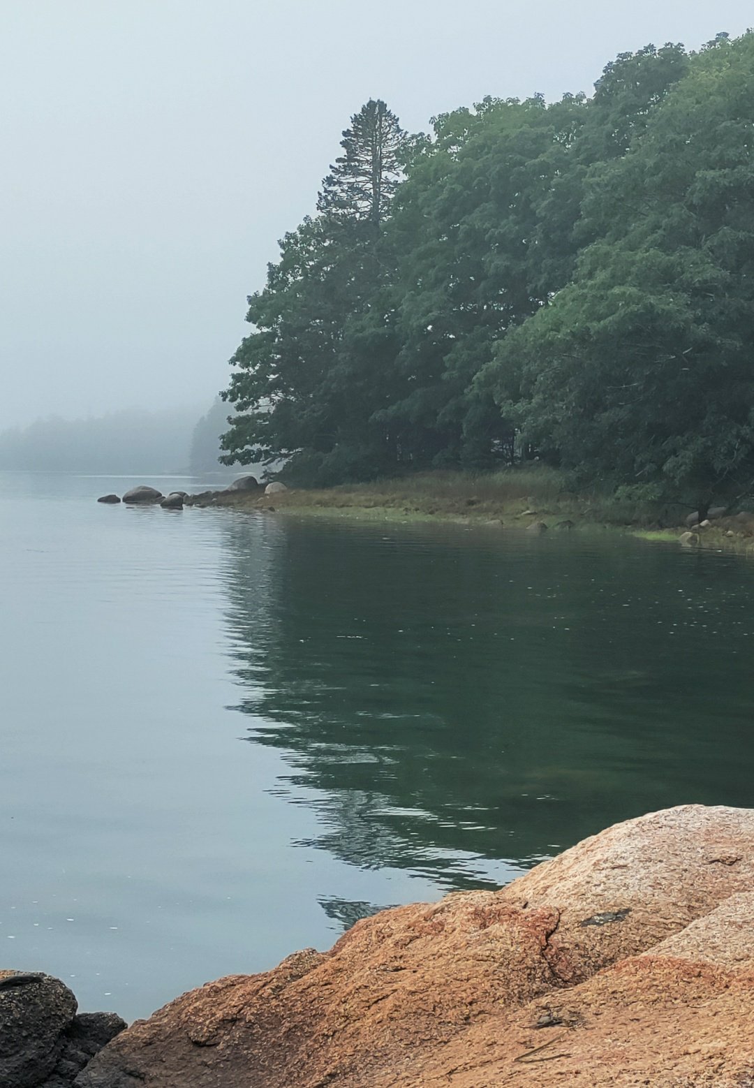 rocky coastline on a foggy day, Deer Isle, Maine