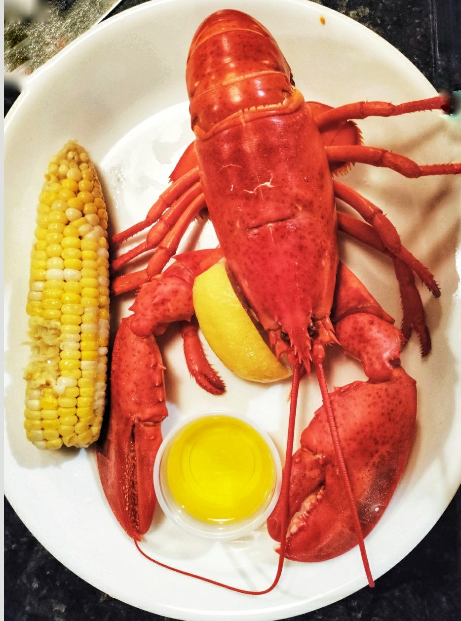 Fresh lobster, York Maine