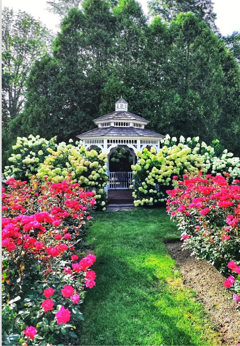 The rose garden and gazebo at York Harbor Inn, York, Maine