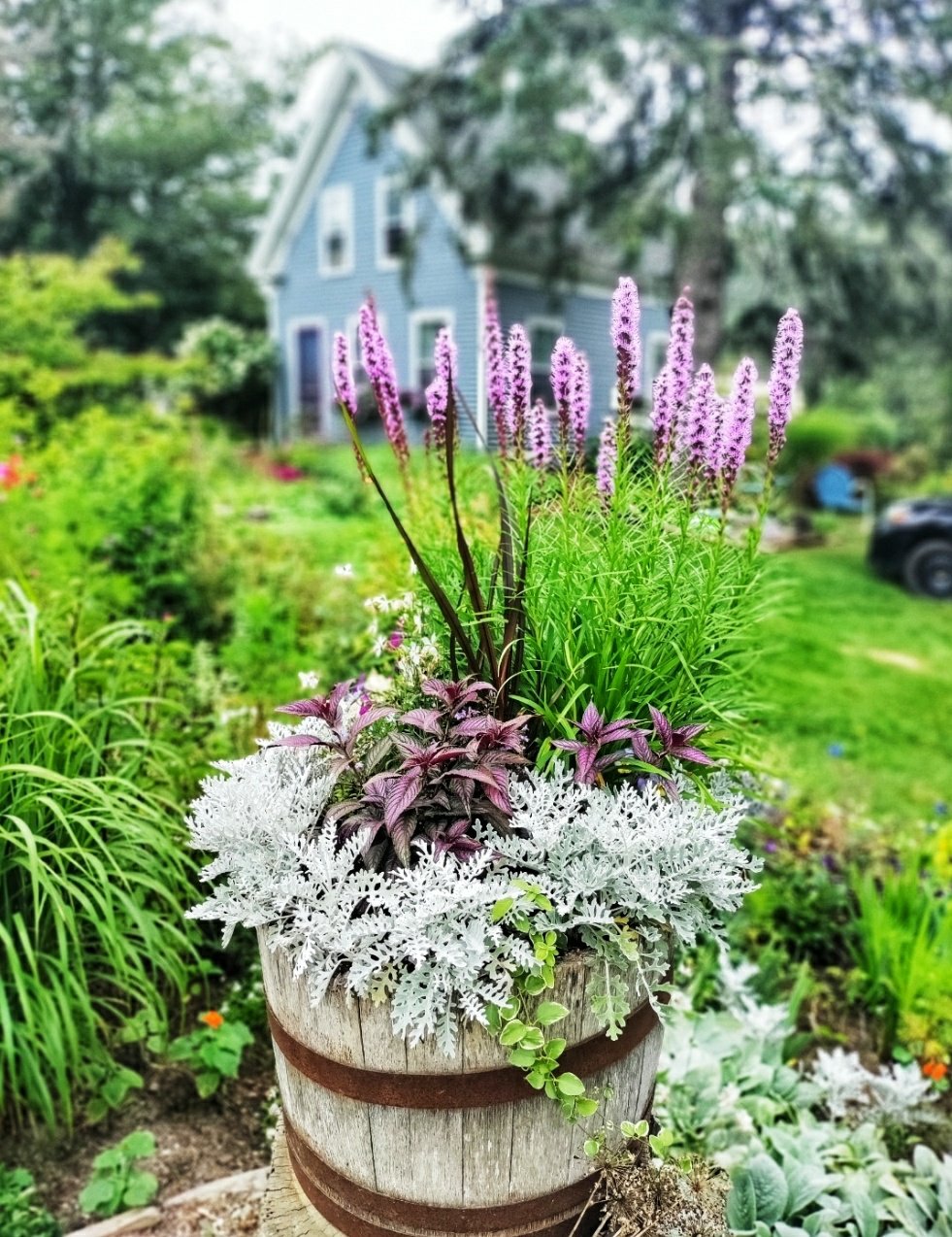 Flowers at a Maine Cottage, Deer Isle, Maine