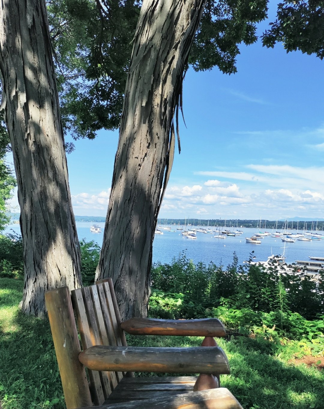 View between the trees on the lawn of the Lake Champlain Yacht Club