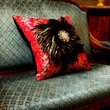 Doylestown woman launches decorative pillow storage solution